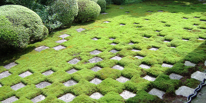 Мховый сад Тофуко-дзи, Киото