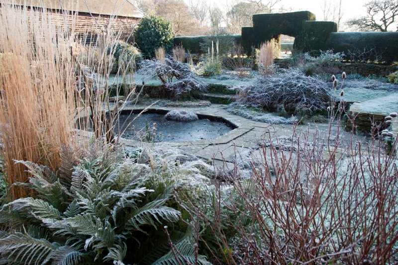 английский сад зимой_красивый ландшафт.jpg