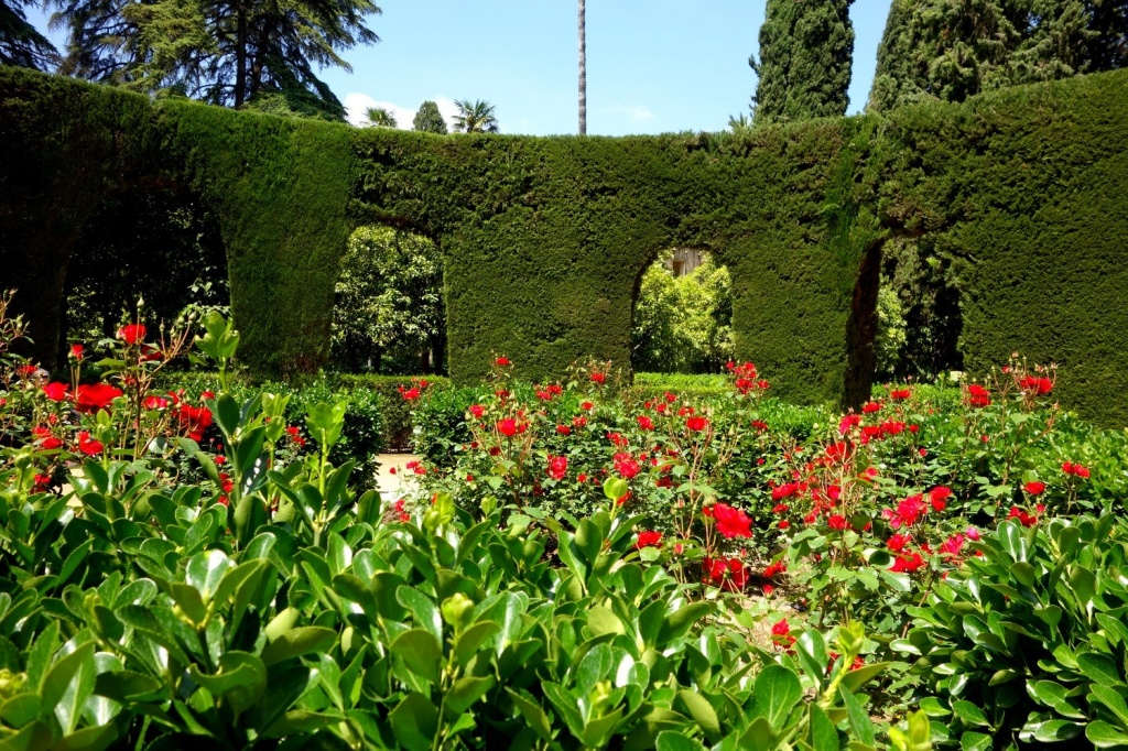 мавританские сады в Севилье.jpg