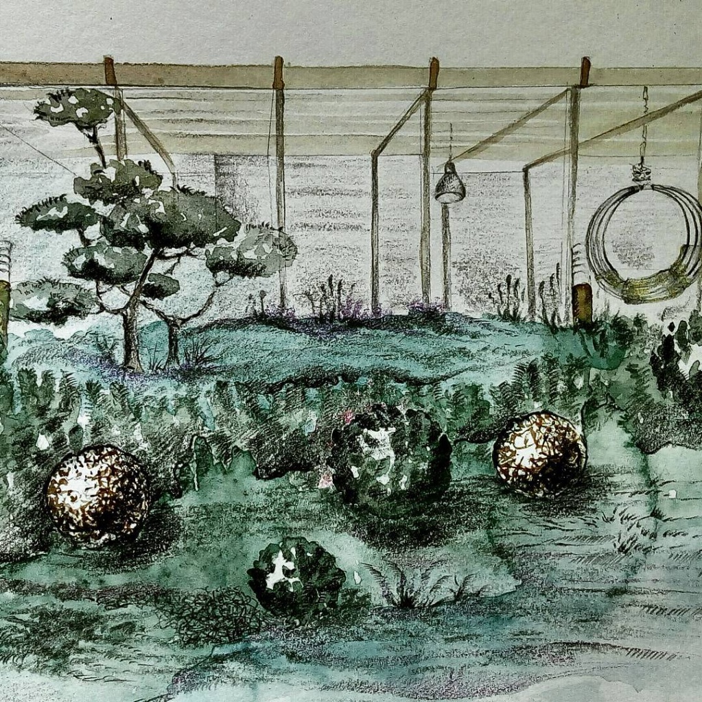 МАФы в саду: интервью с ландшафтным дизайнером Марией Принтц