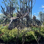 Скульптура из проволоки "Moose" купить в интернет-магазине современной металлической скульптуры в Москве с доставкой |Скульптура из металла | фото 4
